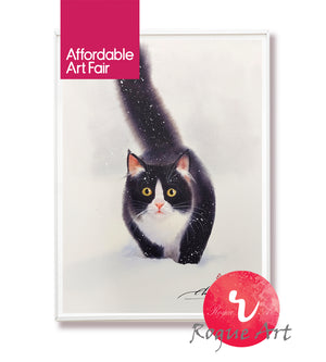 Tuxedo Cat - Eye On